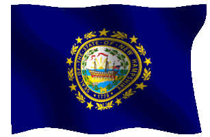 new hampshire flag